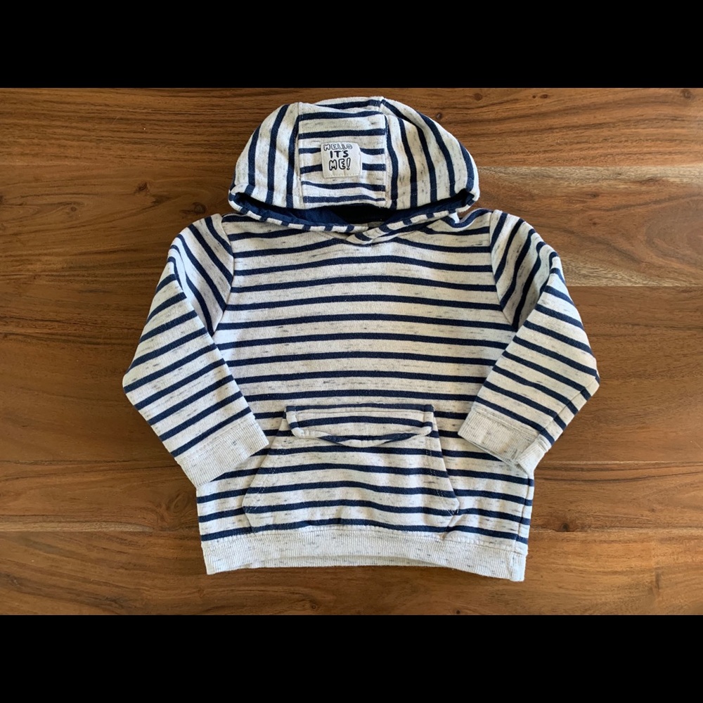 Zara Toddler Hoodie